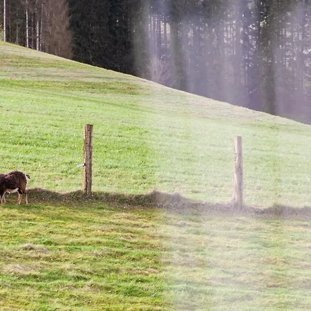 Forellenhof Wald- Und Wiesenquartier ホテル