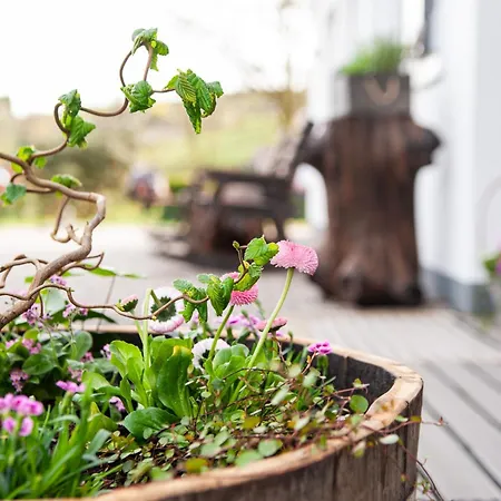 מלון Forellenhof Wald- Und Wiesenquartier באד ברלבורג