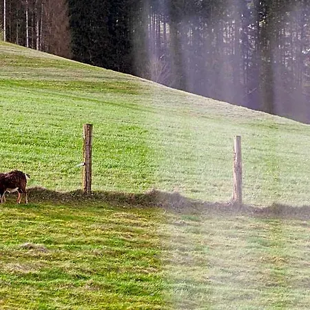 Forellenhof Wald- Und Wiesenquartier Bad Berleburg