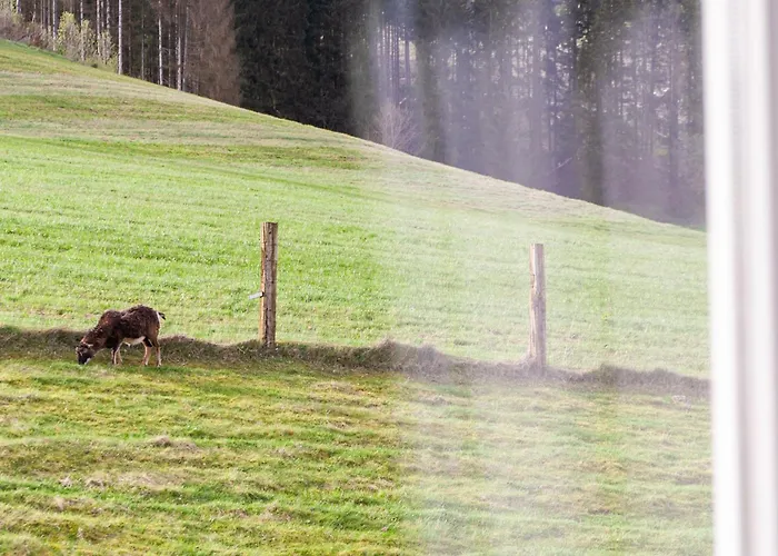 Forellenhof Wald- Und Wiesenquartier ホテル
