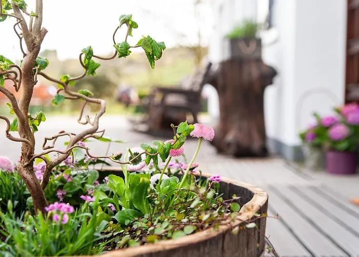 ホテル Forellenhof Wald- Und Wiesenquartier バート・ベルレブルク